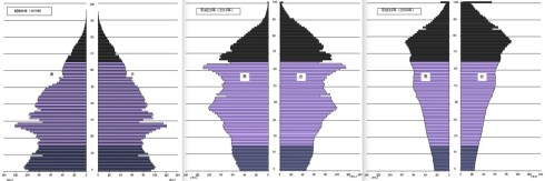 Demographics in Japan