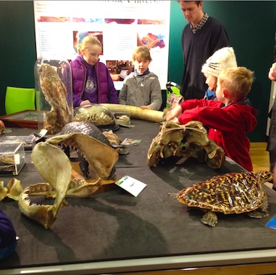 Grant_Museum_of_Zoology